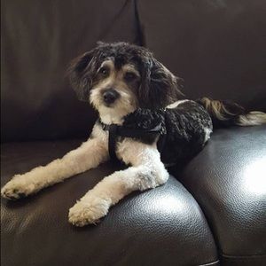 Meet your Posher, Marielle